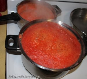 The Best Way to Can Tomatoes: TOMATO PUREE. Seriously the EASIEST and FASTEST way to can tomatoes. Can now, use later for making homemade spaghetti sauce, tomato soup, stews and more.