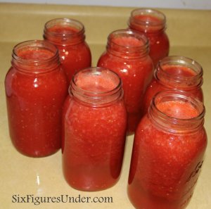 The Best Way to Can Tomatoes: TOMATO PUREE. Seriously the EASIEST and FASTEST way to can tomatoes. Can now, use later for making homemade spaghetti sauce, tomato soup, stews and more.