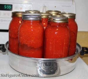 The Best Way to Can Tomatoes: TOMATO PUREE. Seriously the EASIEST and FASTEST way to can tomatoes. Can now, use later for making homemade spaghetti sauce, tomato soup, stews and more.