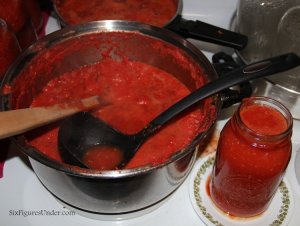 The Best Way to Can Tomatoes: TOMATO PUREE. Seriously the EASIEST and FASTEST way to can tomatoes. Can now, use later for making homemade spaghetti sauce, tomato soup, stews and more.