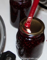 A cross between raspberry jam and blackberry jam is better than either flavor alone. Here's a step-by-step tutorial to make Razzleberry Jam and can it too!