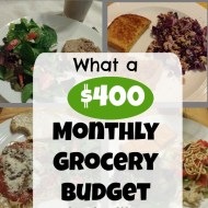 What a $400 Grocery Budget Looks Like on a Plate