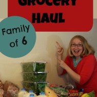 $250 Monthly Grocery Shopping for April (with video)