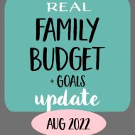 August 2022 Family Budget Update