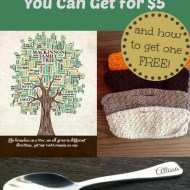 Awesome Unique Gifts You Can Get for $5 (and how to get one free)!