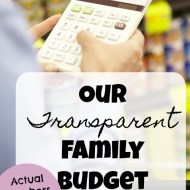 Family Budget Update– May 2017