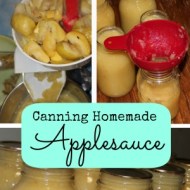 Canning Homemade Applesauce