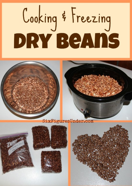 I would choose dry beans over canned beans any day. Besides being much cheaper, they are also healthier and more delicious. Cooking and freezing dry beans makes them super convenient as well!