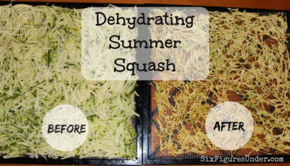 Dehydrating Summer Squash- before and after