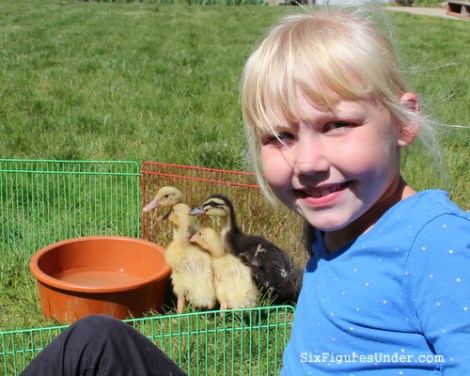 Our kids loved receiving baby ducks on Easter, so we knew that they would love to give a similar gift to a family in another part of the world.