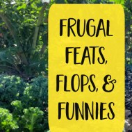 Frugal Feats, Flops, and Funnies: Kids and Kale Edition