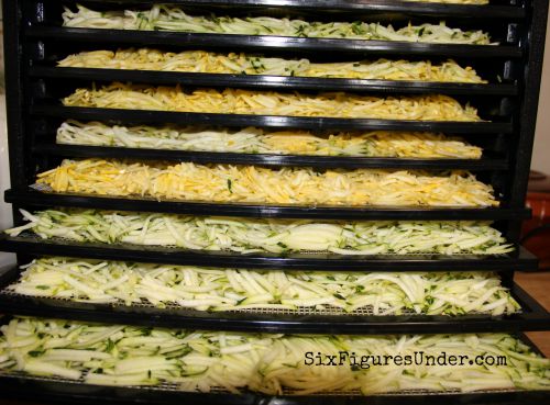 Fill dehydrator with shredded zucchini and yellow squash