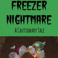 Our Freezer Nightmare: A Cautionary Tale