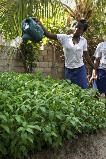 Give a gift of lasting change by providing a family vegetable garden for a poor family in a developing nation