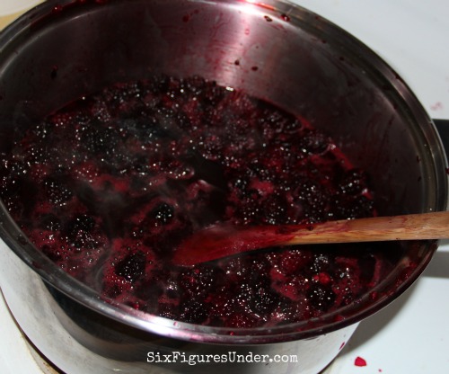 Heating up your blackberries before you get the seeds out makes them much juicier.