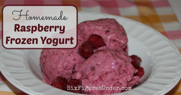 Homemade Raspberry Frozen Yogurt Recipe and Tutorial