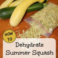 How to Dehydrate Zucchini and Yellow Squash