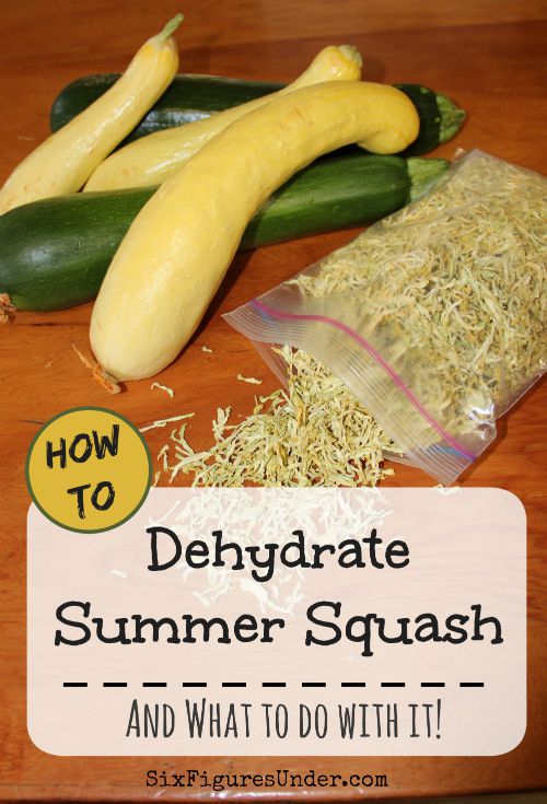 If you've got zucchini or yellow squash growing in your garden, you probably have an abundance. If you've run out of ways to use your summer squash fresh and your freezer is full, there is yet another way to store your harvest-- dehydrating! Here's how to dehydrate summer squash and to do with it!