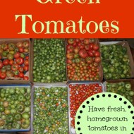 🍅How to Store Green Tomatoes So They’ll Ripen 🍅