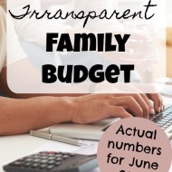 Family Budget Update– June 2017