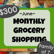 Monthly Grocery Shopping Haul– June 2018