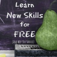 Learn New Skills for Free