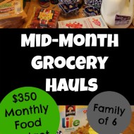 Mid-Month Grocery Shopping– January