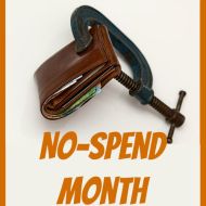 No-Spend Month Update #3– Temptations and Powdered Milk