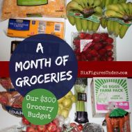 A Month of Groceries for the SixFiguresUnder Family