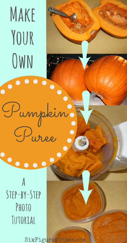 Make your own pumpkin puree from regular pumpkins with this step-by-step photo tutorial. You'll never go back to canned pumpkin again!