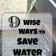 9 Wise Ways to Save Water– Conserving Water for the Wimpy and Hard Core