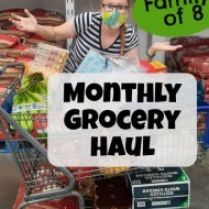 September 2020 Monthly Grocery Haul