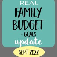 September 2022 Family Budget Update