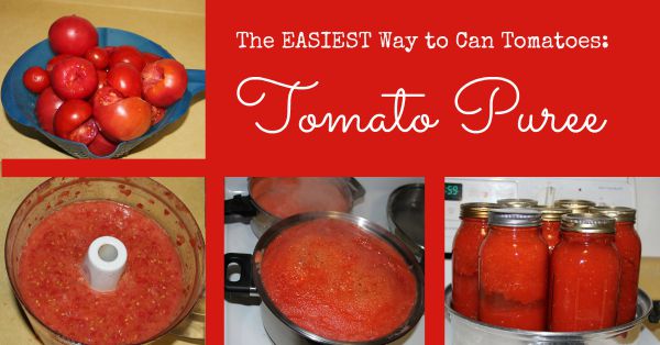 The Easiest Way to Can Tomatoes is Tomato Puree