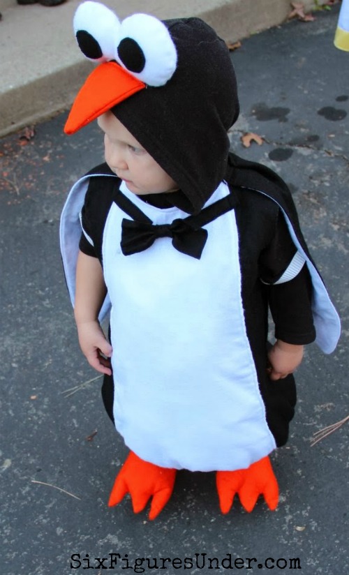 two-year-old-penguin