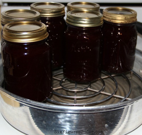 Use a steam canner or water bath canner to can your blackberry syrup.