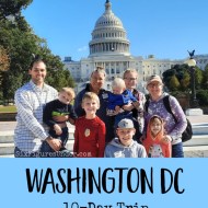 Cost Breakdown for Our 10-Day Washington DC Trip – Family of 8