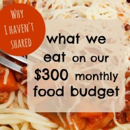 Why I haven’t shared what we eat with our $300 monthly food budget