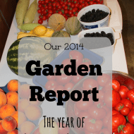 2014 Garden Report– The Year of Guilt and Gratitude