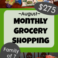 Monthly Grocery Shopping – August 2019