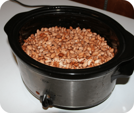 I would choose dry beans over canned beans any day. Besides being much cheaper, they are also healthier and more delicious. Cooking and freezing dry beans makes them super convenient as well!