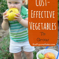 Our Favorite Cost-Effective Vegetables to Grow