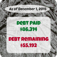 November 2015 Debt Repayment Progress Report