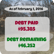 January 2016 Debt Repayment Progress Report