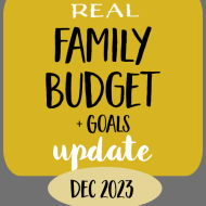 December 2023 Family Budget Update