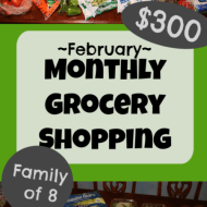 Monthly Grocery Shopping– February 2020