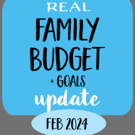 Everything we spent and earned last month– February 2024 Family Budget Update