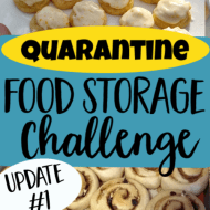 Quarantine Food Storage Challenge– Update 1