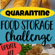 Quarantine Food Storage Challenge– Update 2