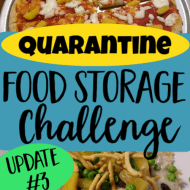 Quarantine Food Storage Challenge- Update 3